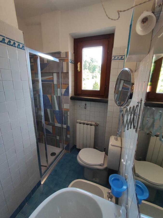 Villa Torrone Camaiore Extérieur photo